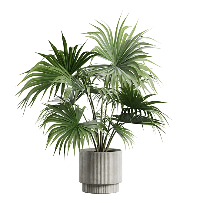 Exotic Indoor Plant Collection Pack 3D model image 6