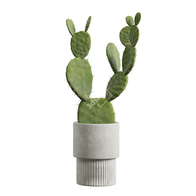 Exotic Indoor Plant Collection Pack 3D model image 7