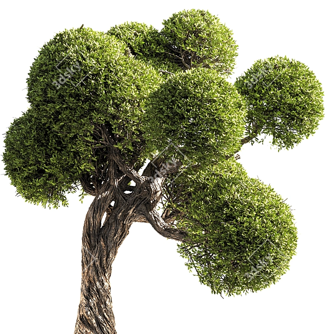 Elegant 3D Tree Render 3D model image 1