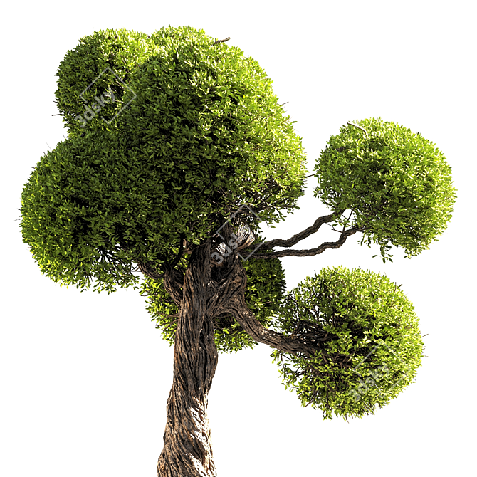 Elegant 3D Tree Render 3D model image 2