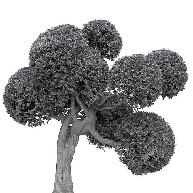 Elegant 3D Tree Render 3D model image 3