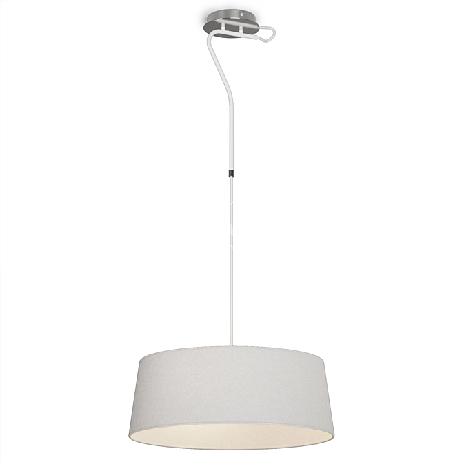 Contemporary Hotel Metal Pendant Light 3D model image 6