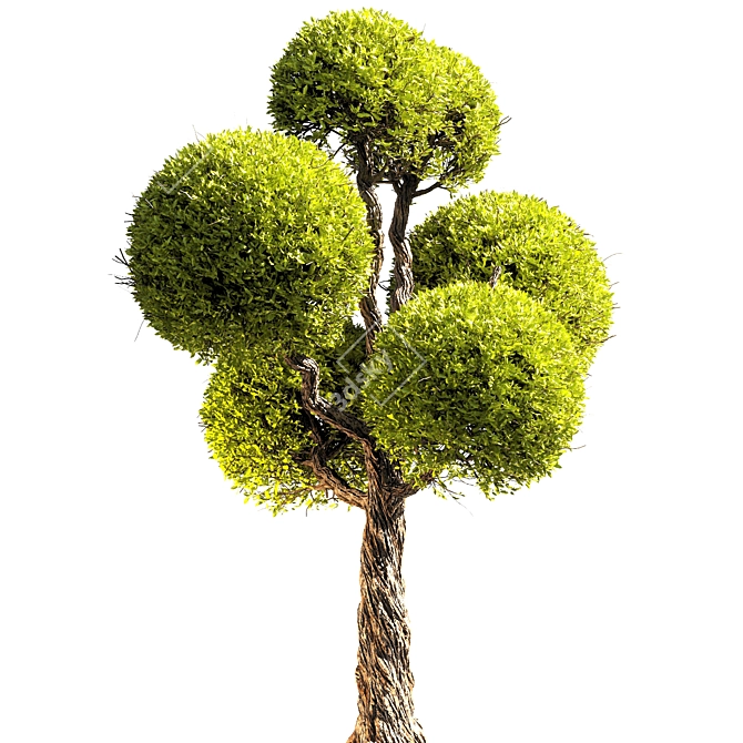 Elegant 3D Tree Rendering 3D model image 1