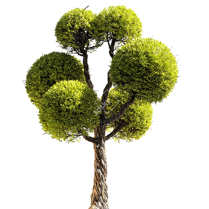 Elegant 3D Tree Rendering 3D model image 2