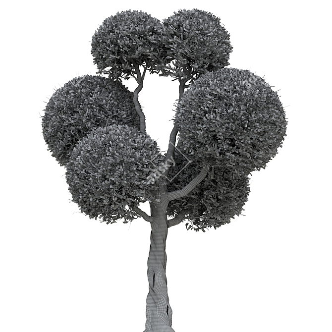 Elegant 3D Tree Rendering 3D model image 3