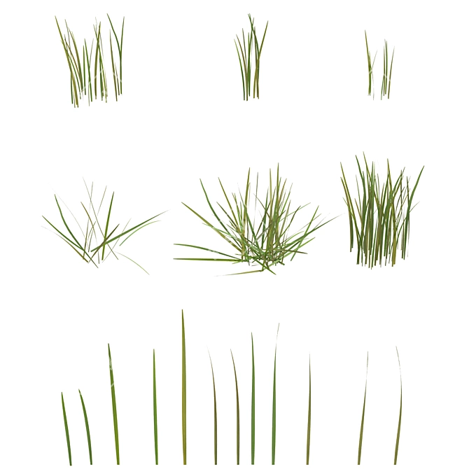 6 Varieties Grass Model 3D model image 4