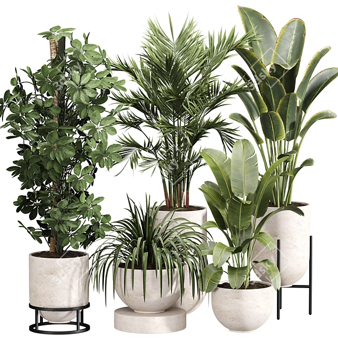 Luxury Indoor Plant Set 013 3D model image 1