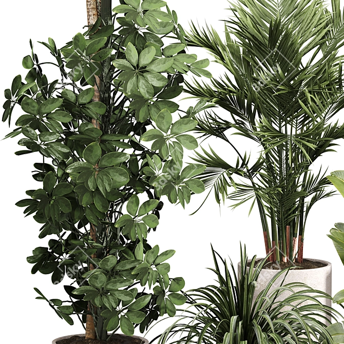 Luxury Indoor Plant Set 013 3D model image 2