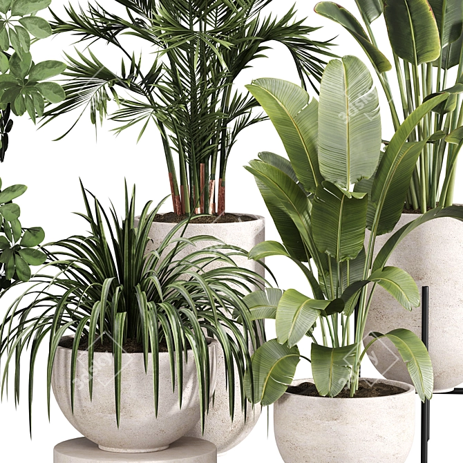 Luxury Indoor Plant Set 013 3D model image 3