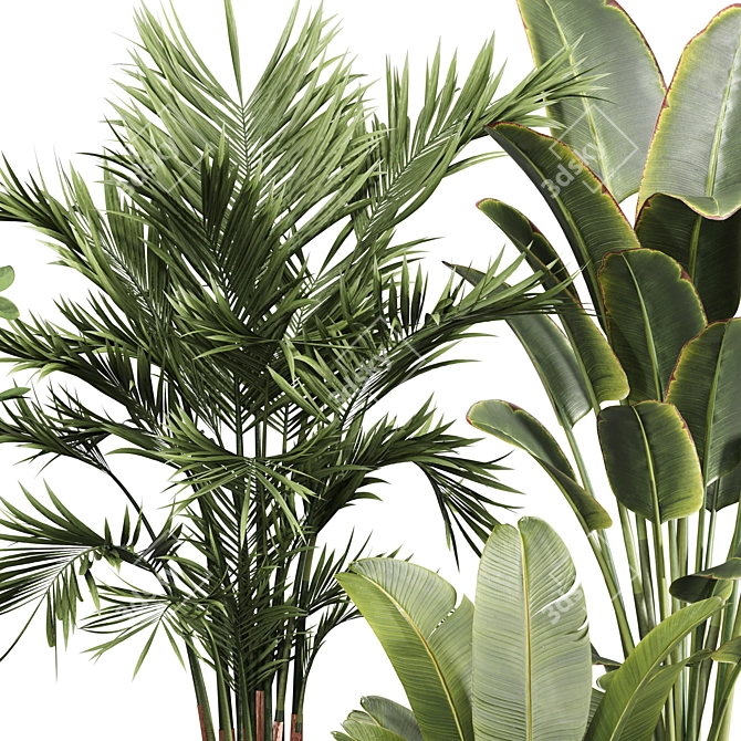 Luxury Indoor Plant Set 013 3D model image 4