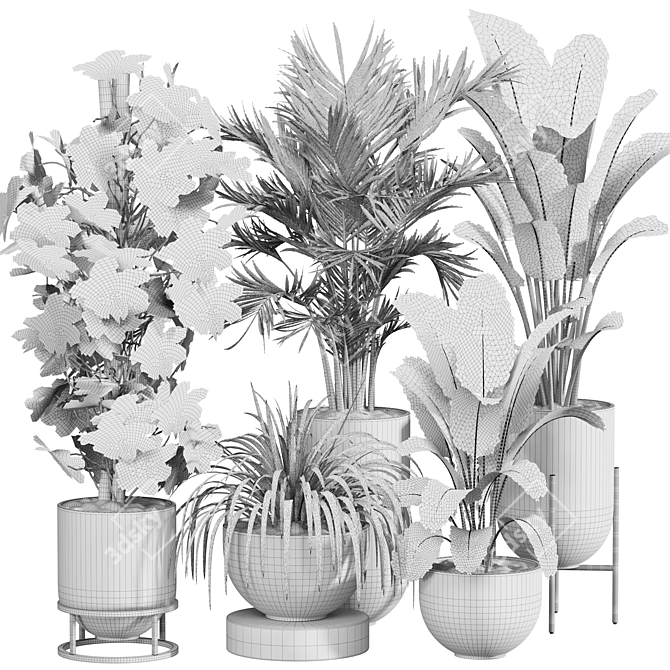 Luxury Indoor Plant Set 013 3D model image 5