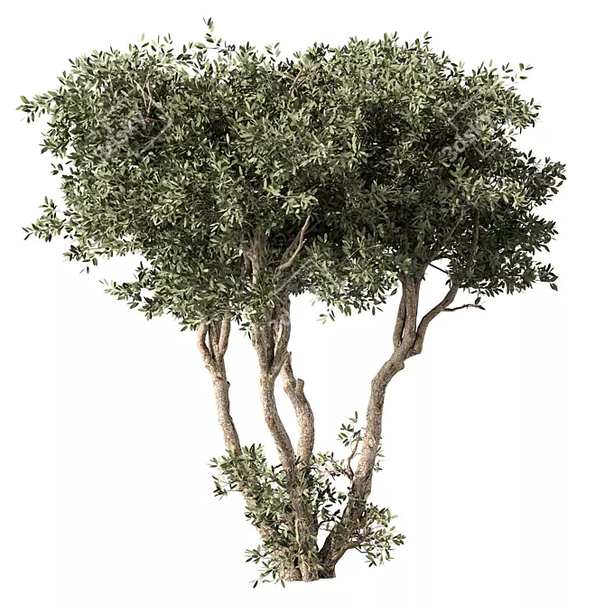 No.65 3D Tree Model Kit 3D model image 1