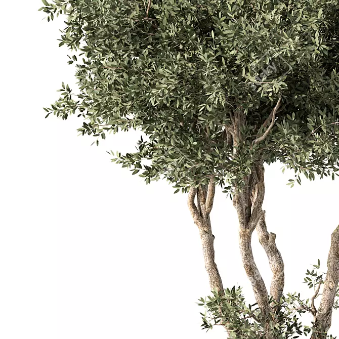 No.65 3D Tree Model Kit 3D model image 2