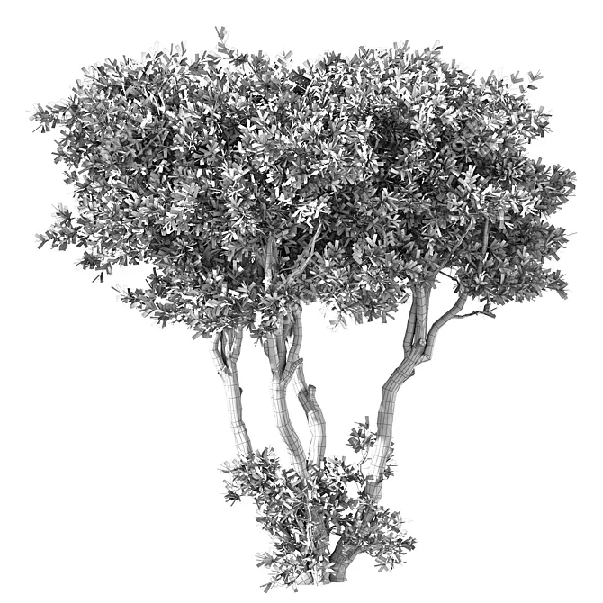 No.65 3D Tree Model Kit 3D model image 3