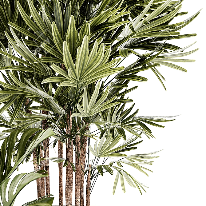 Modern Plant Collection 1448 3D model image 3