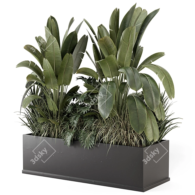 Handmade Black Pot Plants Set 3D model image 1