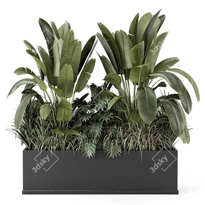 Handmade Black Pot Plants Set 3D model image 2