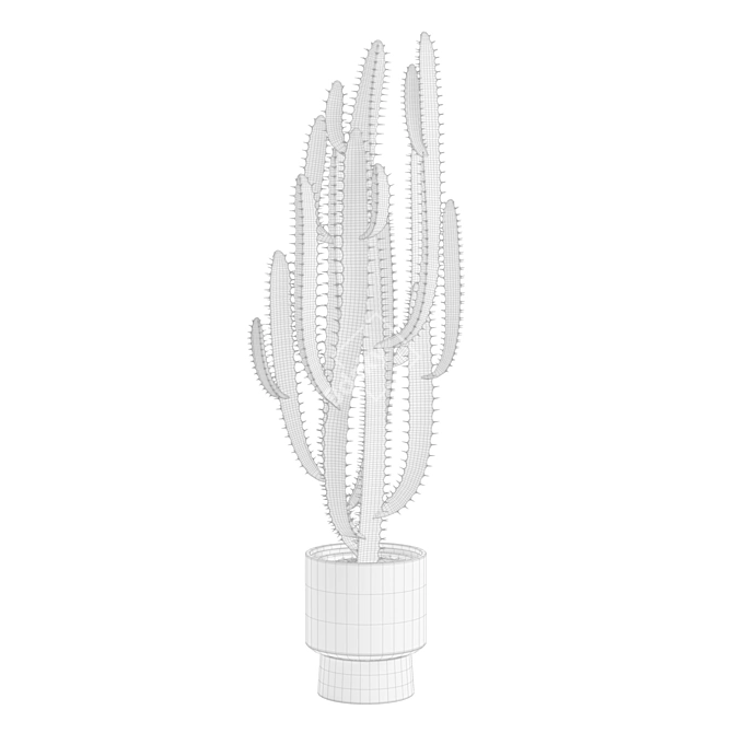 African Milk Tree Cactus Sculpture 3D model image 3