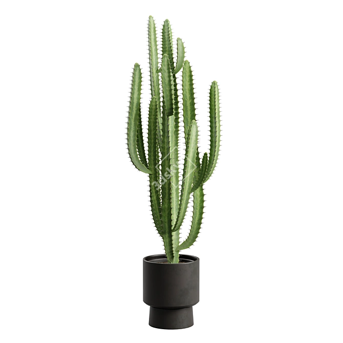 African Milk Tree Cactus Sculpture 3D model image 4