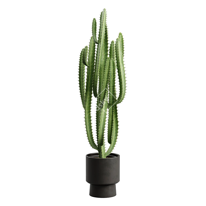 African Milk Tree Cactus Sculpture 3D model image 7