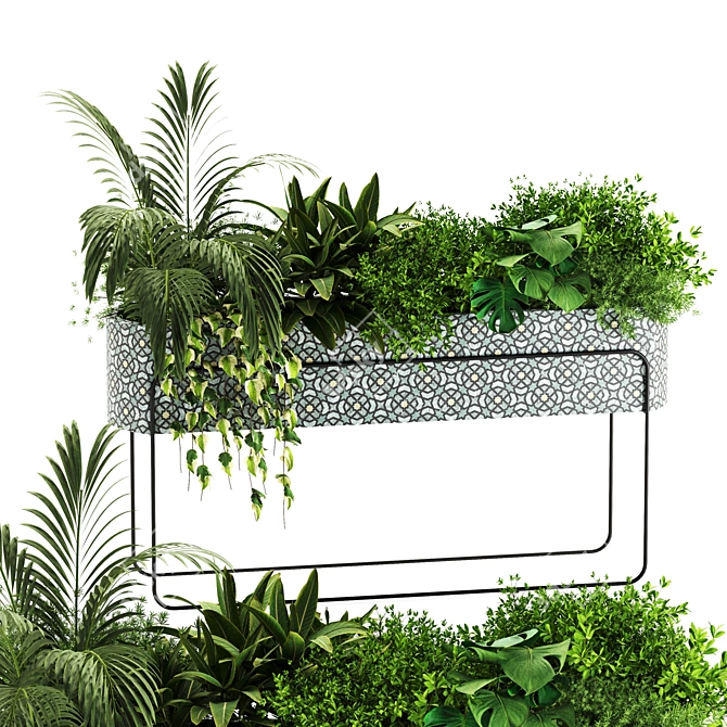 Lush Indoor Plants Box Set 3D model image 1