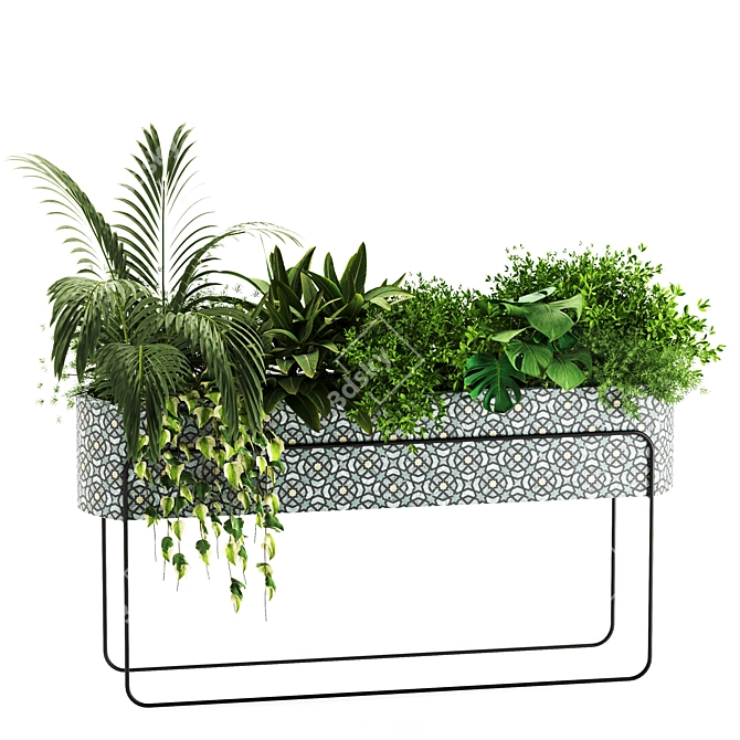 Lush Indoor Plants Box Set 3D model image 2