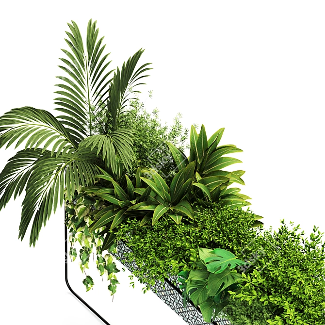 Lush Indoor Plants Box Set 3D model image 4