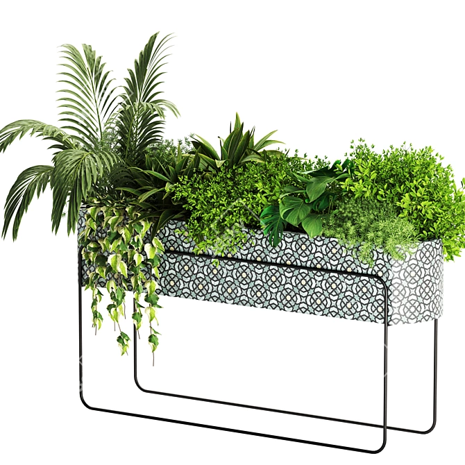 Lush Indoor Plants Box Set 3D model image 5