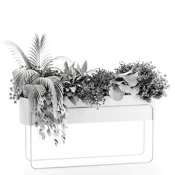 Lush Indoor Plants Box Set 3D model image 6