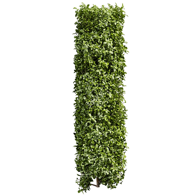 Lush Cylinder Plant Collection 552 3D model image 2