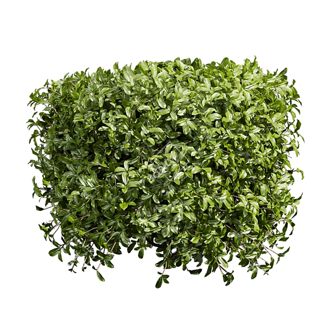 Lush Cylinder Plant Collection 552 3D model image 6