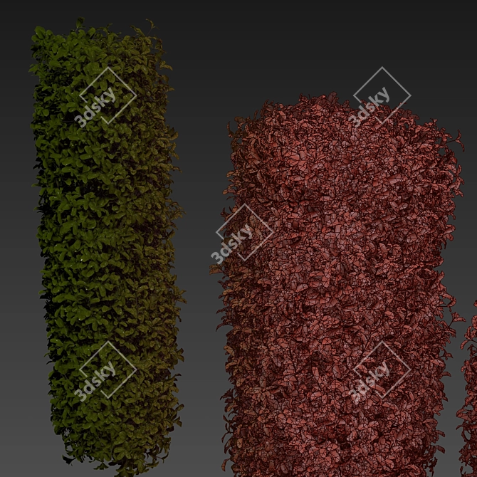 Lush Cylinder Plant Collection 552 3D model image 7