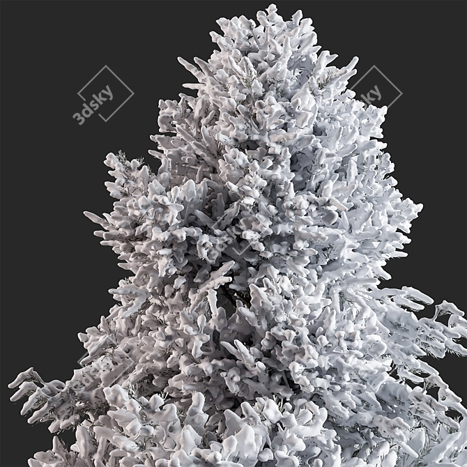 Snowy Pine Tree 283 - Winter 3D model image 3