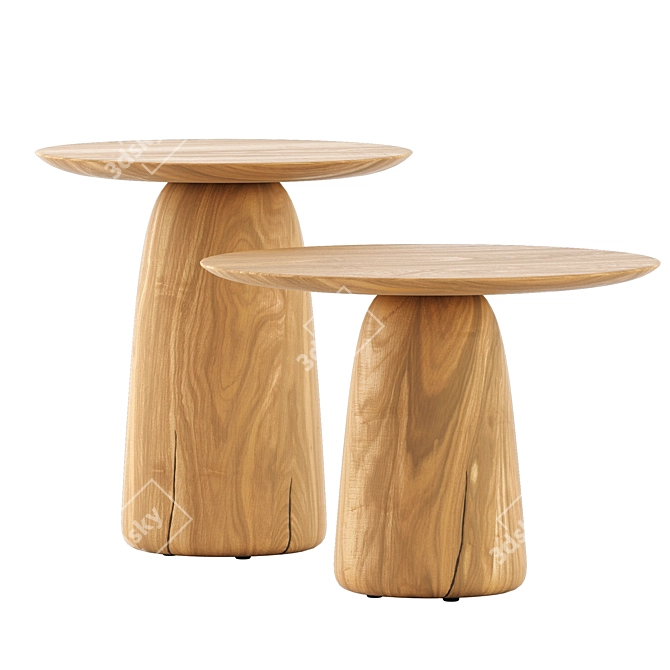 Tribu Dunes Low Tables Set 3D model image 1