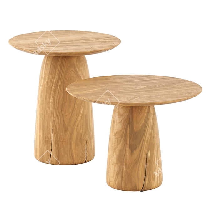 Tribu Dunes Low Tables Set 3D model image 3