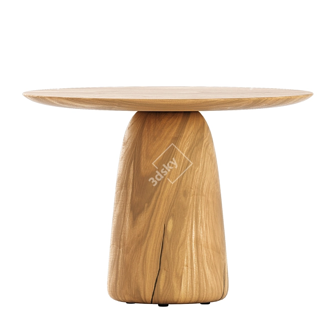 Tribu Dunes Low Tables Set 3D model image 4