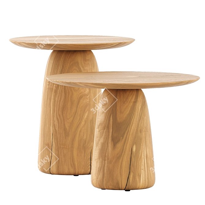 Tribu Dunes Low Tables Set 3D model image 5