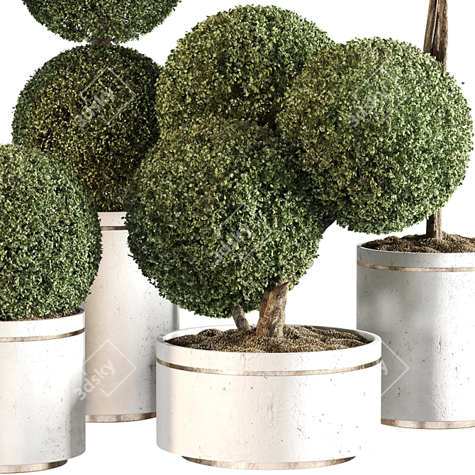 Modern Indoor Plant Set 015 3D model image 2