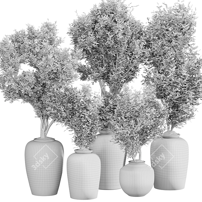 Modern Indoor Plant Set 015 3D model image 11