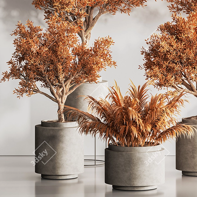 Modern Dry Indoor Plant Set 3D model image 4