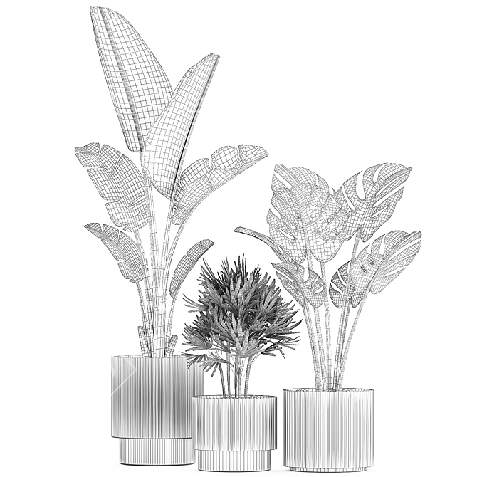 Exotic Plant Collection 1452 3D model image 7