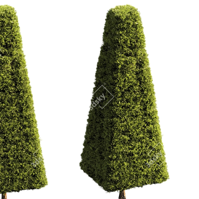 Translated description: "Укажите хороший рендер..."

Lush Foliage Accent Plant 3D model image 1