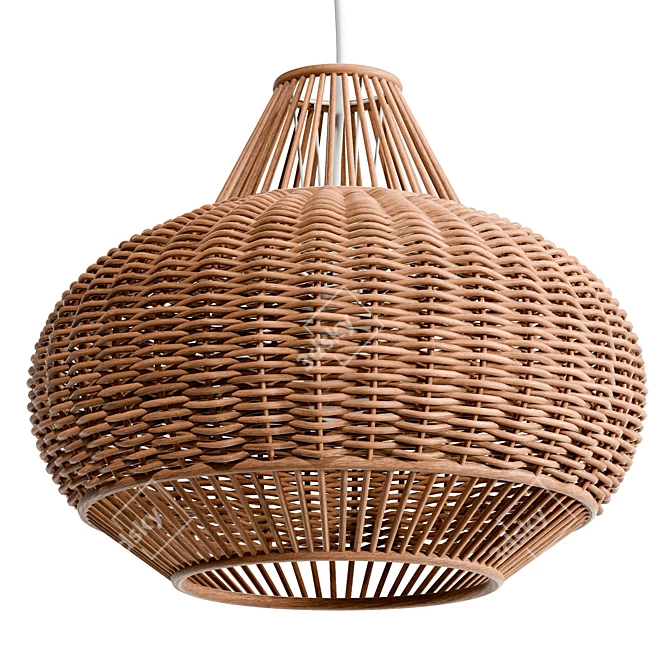 Handwoven Wicker Pendant Lighting 3D model image 1