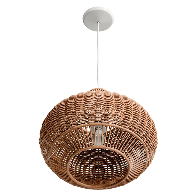 Handwoven Wicker Pendant Lighting 3D model image 4