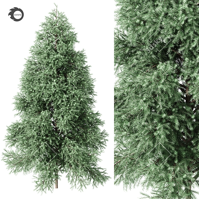 Realistic Green Fir Tree 1650mm 3D model image 1