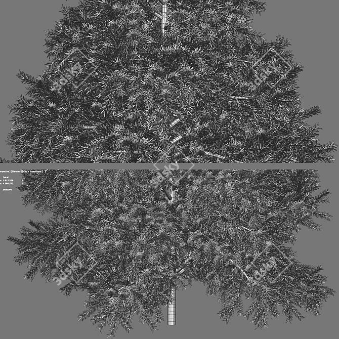 Realistic Green Fir Tree 1650mm 3D model image 4