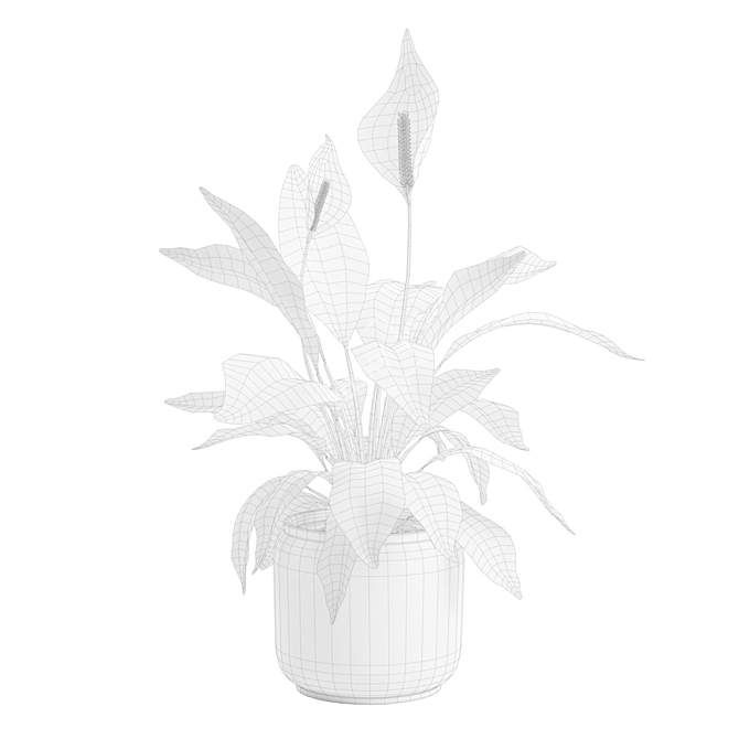 Tropical Peace Lily Plant Decor 3D model image 3