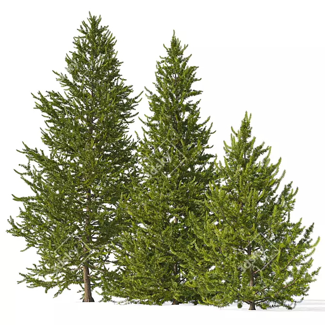 Larix Decidua Tree Scene Kit 3D model image 2