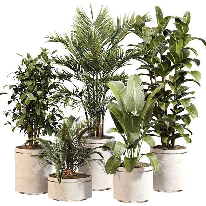 Modern Indoor Plant Set 020 3D model image 1