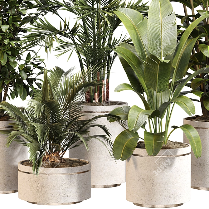 Modern Indoor Plant Set 020 3D model image 2